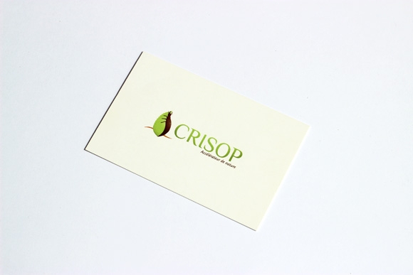 Carte de visite de Crisop, création de l'identité visuelle, refonte du logotype, Graphisme, Lyon